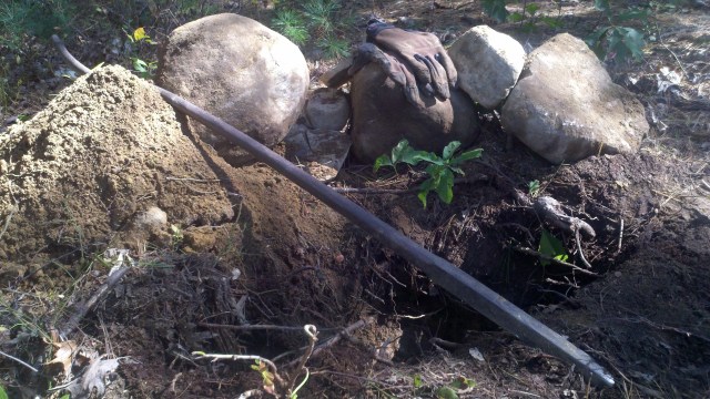 2011-10-06_14-00-27_380