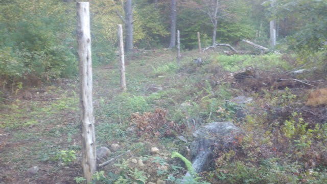 2011-10-09_17-39-01_513