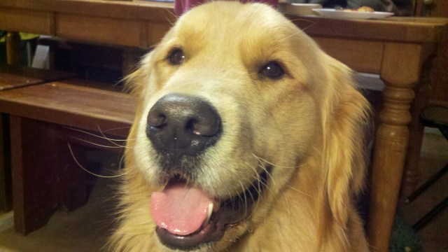 2012-12-14_18-19-48_961