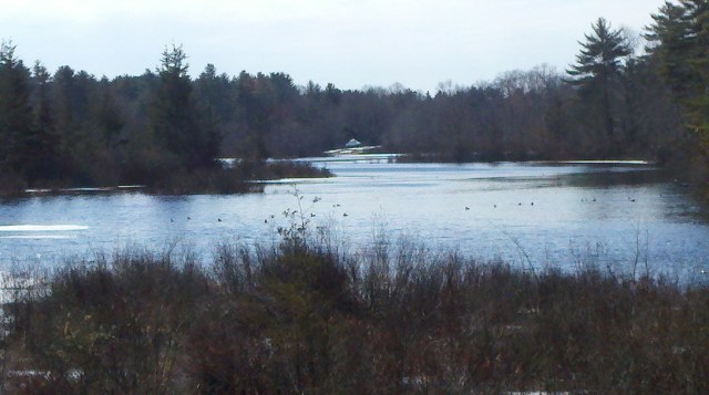 2013-03-01_11-24-26_793