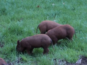 250194_1919182893910_7256100_n