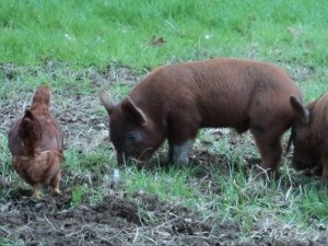 253823_1919183413923_7618278_n